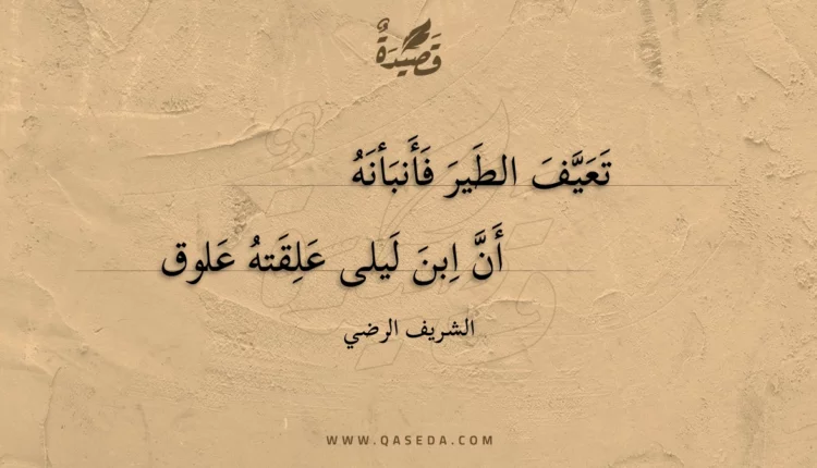 قصيدة تعيف الطير فأنبأنه
