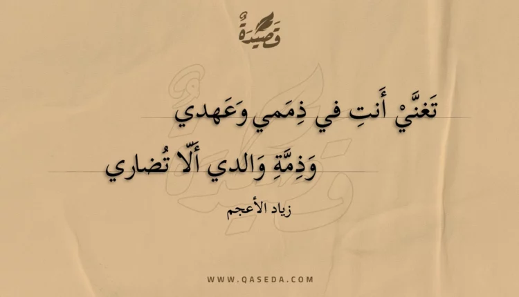 قصيدة تغني أنت في ذممي وعهدي