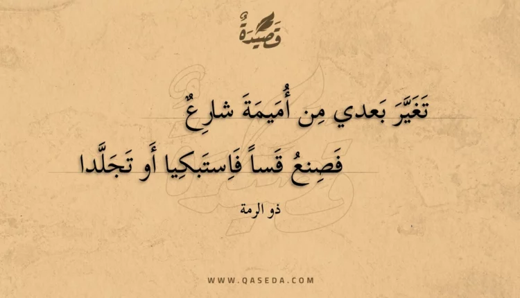 قصيدة تغير بعدي من أميمة شارع