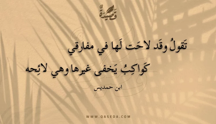 قصيدة تقول وقد لاحت لها في مفارقي