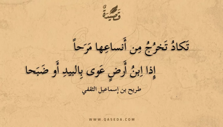 قصيدة تكاد تخرج من أنساعها مرحا