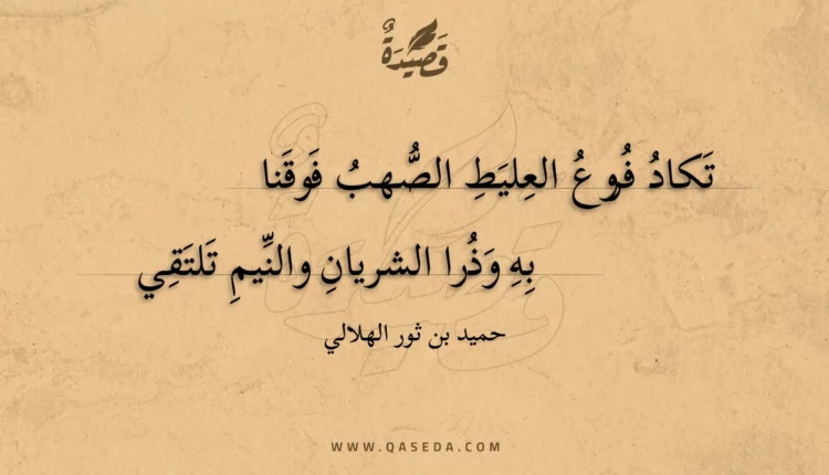 قصيدة تكاد فروع العليط الصهب فوقنا