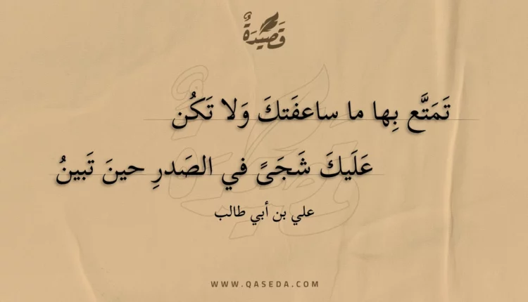 قصيدة تمتع بها ما ساعفتك ولا تكن