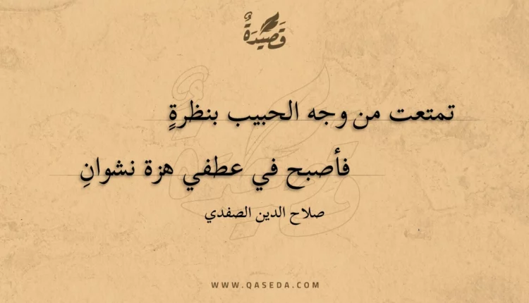 قصيدة تمتعت من وجه الحبيب بنظرة