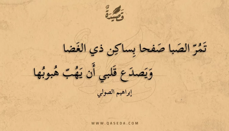 قصيدة تمر الصبا صفحا بساكن ذي الغضا