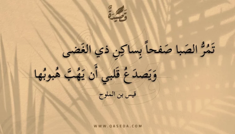 قصيدة تمر الصبا صفحا بساكن ذي الغضى