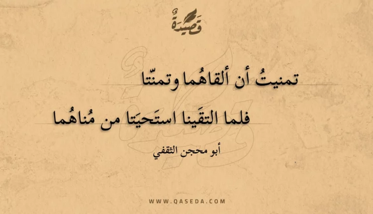 قصيدة تمنيت أن ألقاهما وتمنتا