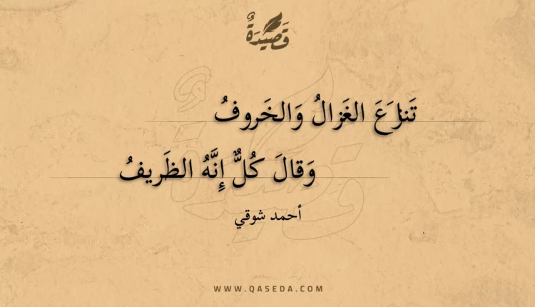 قصيدة تنازع الغزال والخروف