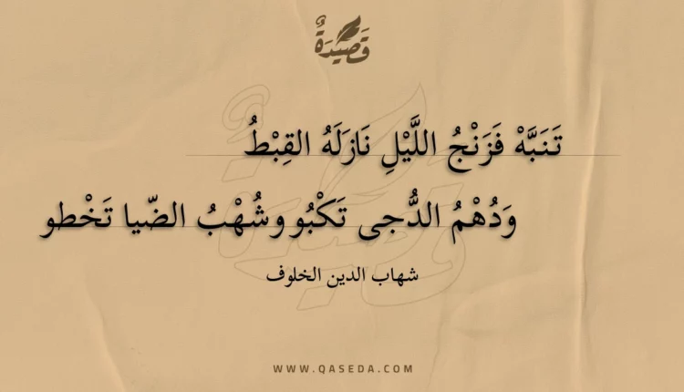 قصيدة تنبه فزنج الليل نازله القبط