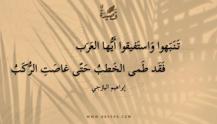 قصيدة تنبهوا واستفيقوا أيها العرب