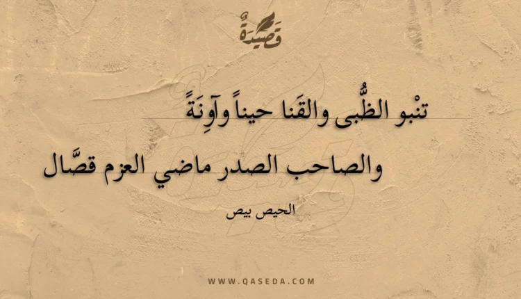 قصيدة تنبو الظبى والقنا حينا وآونة