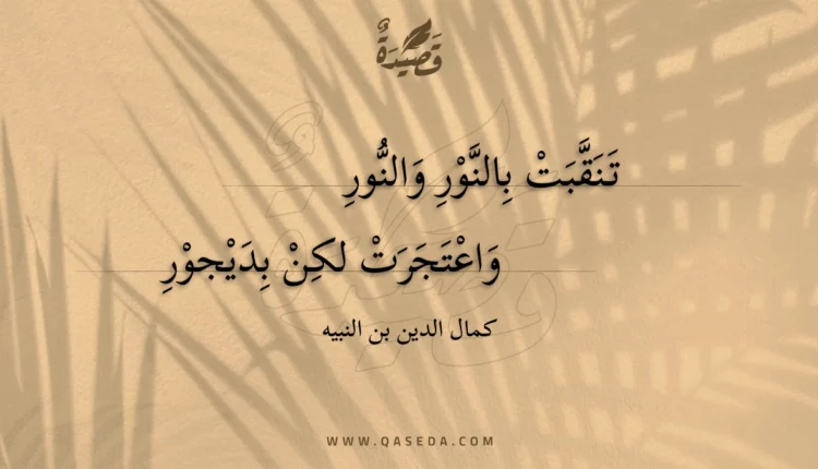 قصيدة تنقبت بالنور والنور