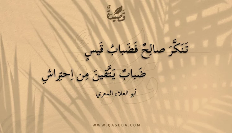 قصيدة تنكر صالح فضباب قيس