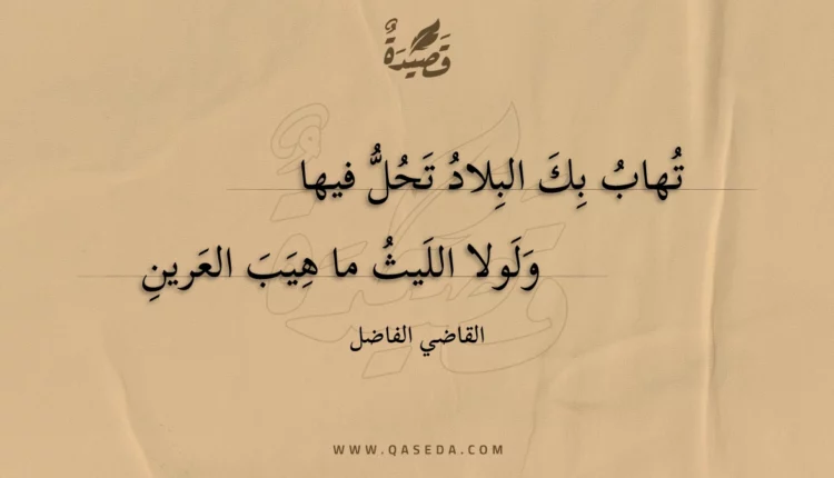 قصيدة تهاب بك البلاد تحل فيها