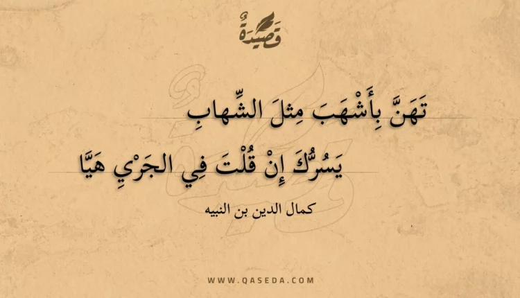 قصيدة تهن بأشهب مثل الشهاب