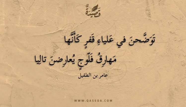 قصيدة توضحن في علياء قفر كأنها
