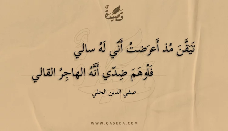 قصيدة تيقن مذ أعرضت أني له سالي
