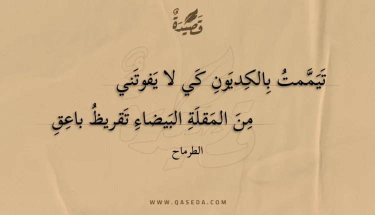 قصيدة تيممت بالكديون كي لا يفوتني
