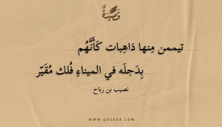قصيدة تيممن منها ذاهبات كأنهم