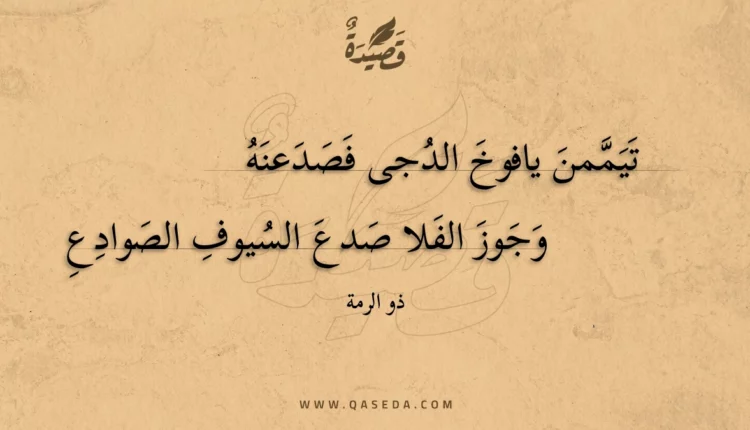 قصيدة تيممن يافوخ الدجى فصدعنه