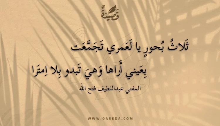 قصيدة ثلاث بحور يا لعمري تجمعت