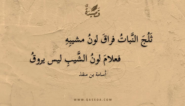 قصيدة ثلج النبات فراق لون مشيبه