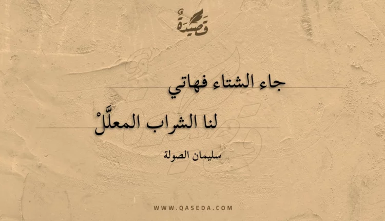 قصيدة جاء الشتاء فهاتي