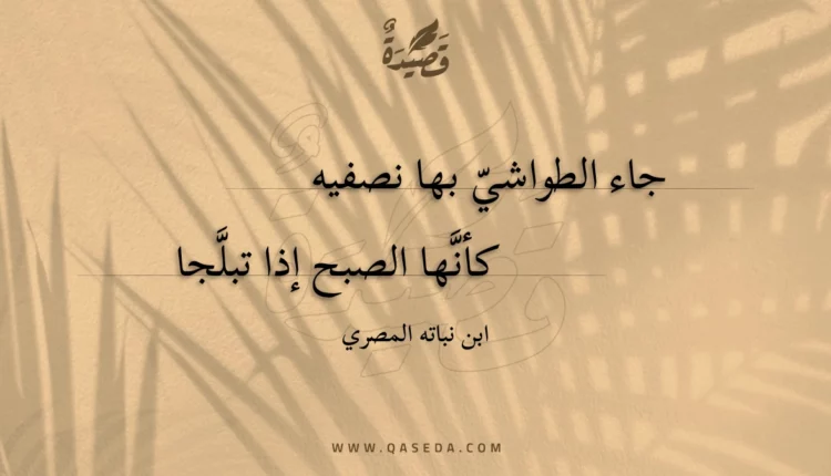 قصيدة جاء الطواشي بها نصفيه