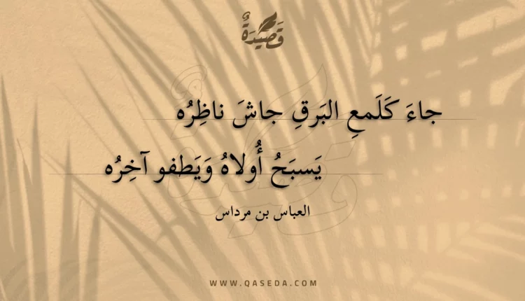 قصيدة جاء كلمع البرق جاش ناظره