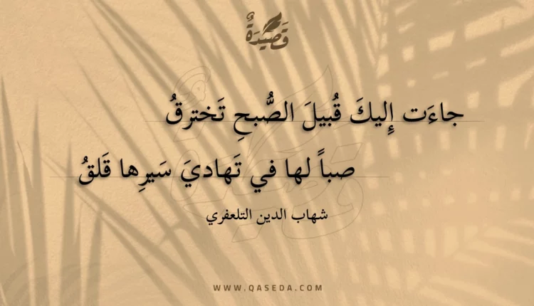 قصيدة جاءت إليك قبيل الصبح تخترق