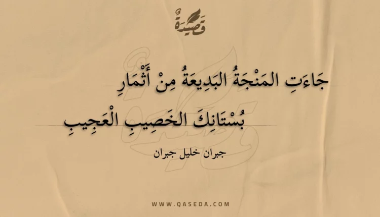 قصيدة جاءت المنجة البديعة من أثمار