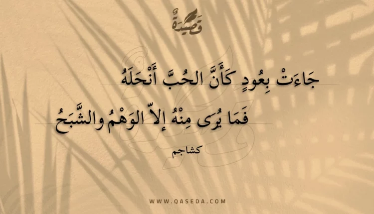قصيدة جاءت بعود كأن الحب أنحله