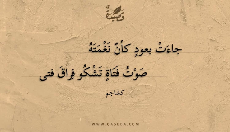 قصيدة جاءت بعود كأن نغمته