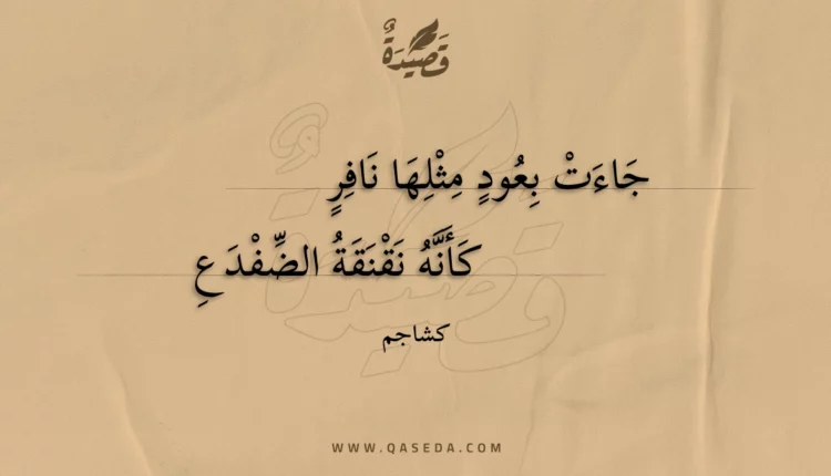 قصيدة جاءت بعود مثلها نافر