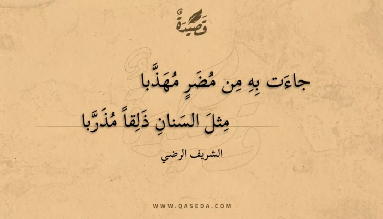 قصيدة جاءت به من مضر مهذبا