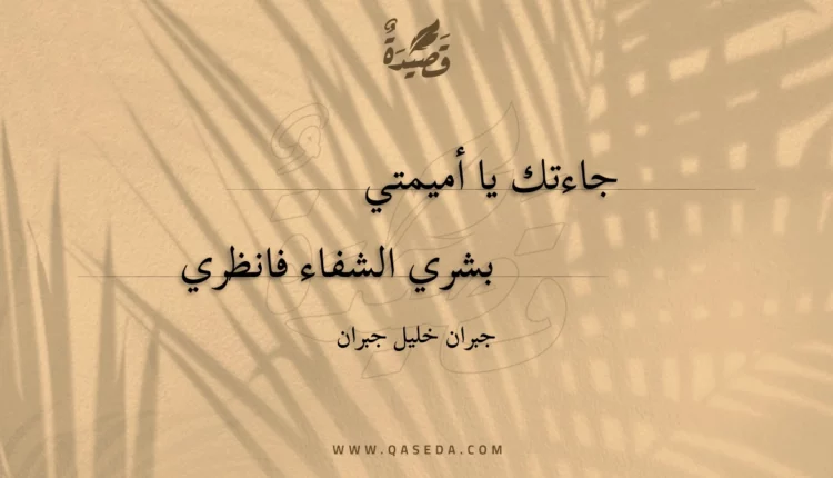 قصيدة جاءتك يا أميمتي