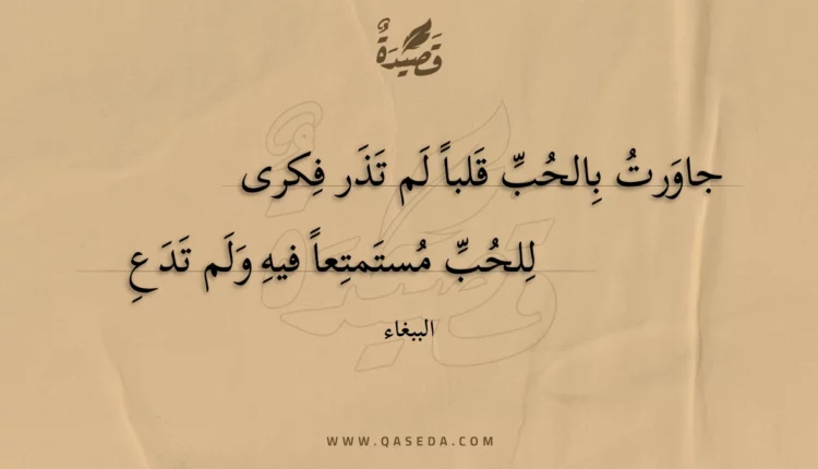 قصيدة جاورت بالحب قلبا لم تذر فكرى