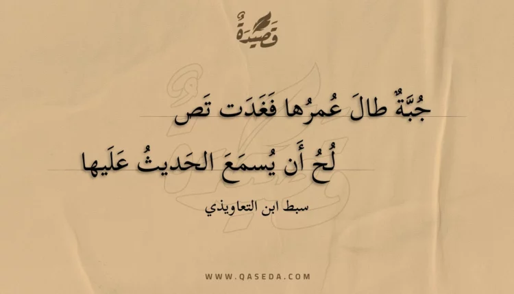 قصيدة جبة طال عمرها فغدت تص