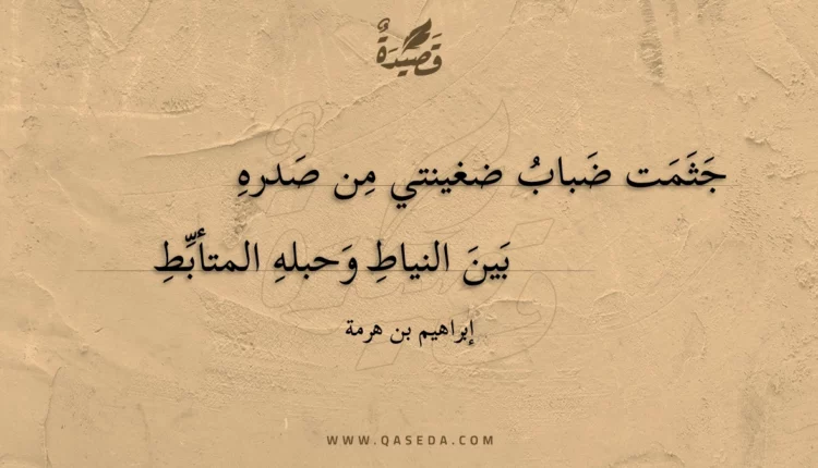 قصيدة جثمت ضباب ضغينتي من صدره