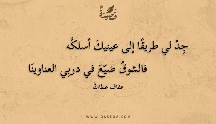 قصيدة جد لي طريقا إلى عينيك أسلكه