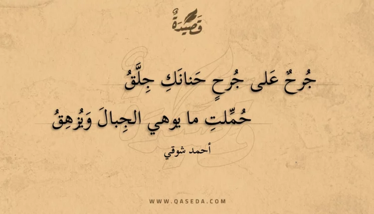 قصيدة جرح على جرح حنانك جلق
