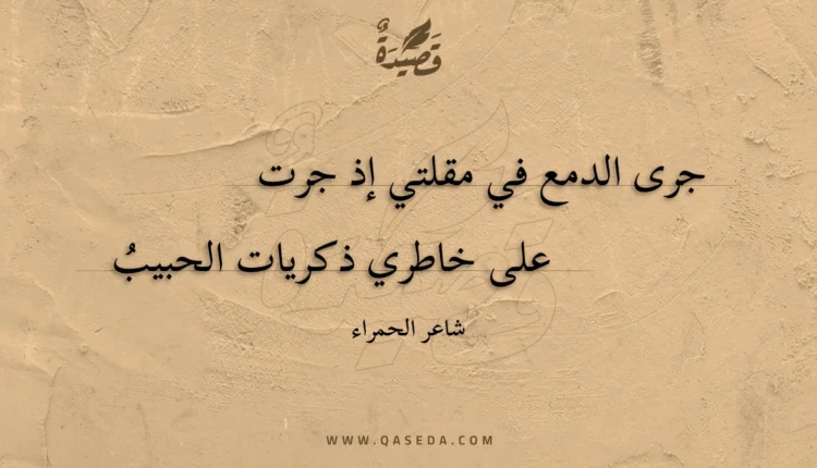 قصيدة جرى الدمع في مقلتي إذ جرت