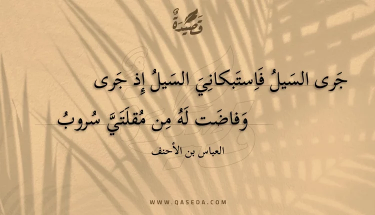 قصيدة جرى السيل فاستبكاني السيل إذ جرى