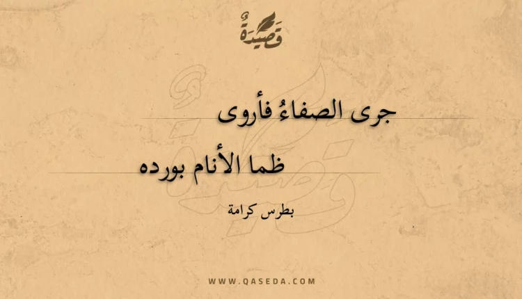 قصيدة جرى الصفاء فأروى