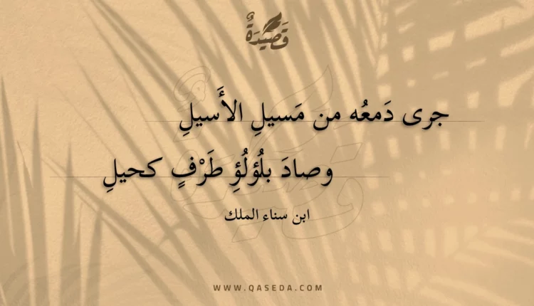 قصيدة جرى دمعه من مسيل الأسيل