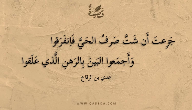 قصيدة جزعت أن شت صرف الحي فانفرقوا