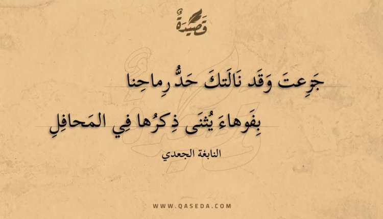 قصيدة جزعت وقد نالتك حد رماحنا