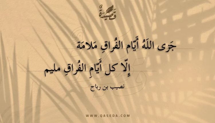 قصيدة جزى الله أيام الفراق ملامة