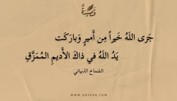 قصيدة جزى الله خيرا من أمير وباركت