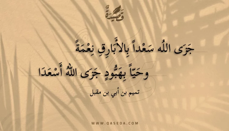 قصيدة جزى الله سعدا بالأبارق نعمة
